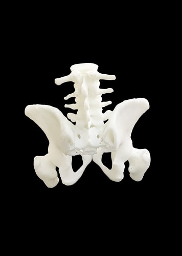 Resin UTR8360 for Orthopedics Hip Bone Model